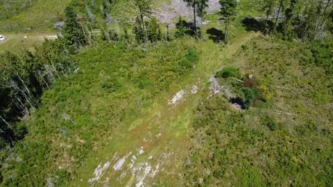 tbd Ltr Rd, Vance, SC 29163 photo 5