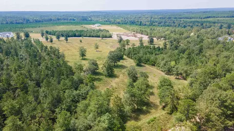 0 Cooks Pond Rd, Williston, SC 29853 photo 10