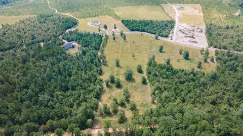 0 Cooks Pond Rd, Williston, SC 29853 photo 8
