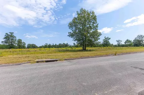 0 Cooks Pond Rd, Williston, SC 29853 photo 13