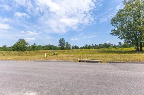 0 Cooks Pond Rd, Williston, SC 29853 photo 14