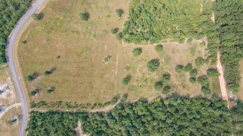 0 Cooks Pond Rd, Williston, SC 29853 photo 7