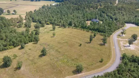 0 Cooks Pond Rd, Williston, SC 29853 photo 4