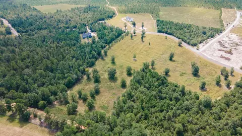 0 Cooks Pond Rd, Williston, SC 29853 photo 9