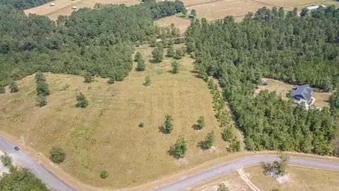 0 Cooks Pond Rd, Williston, SC 29853 photo 5