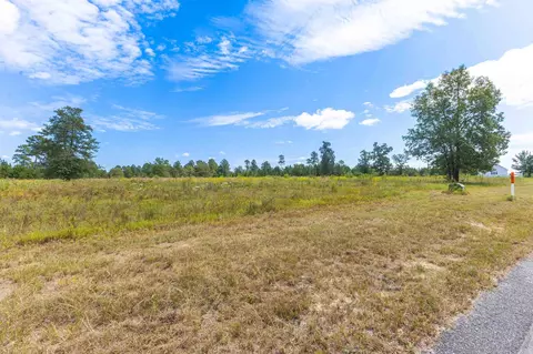 0 Cooks Pond Rd, Williston, SC 29853 photo 12