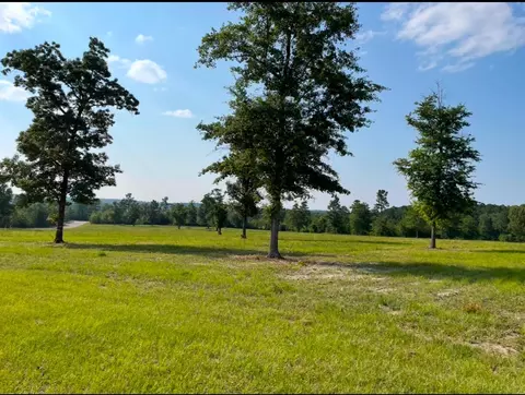 0 Cooks Pond Rd, Williston, SC 29853 photo 3