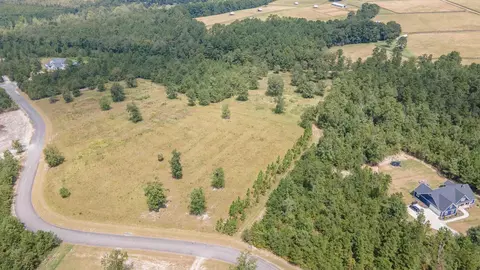 0 Cooks Pond Rd, Williston, SC 29853 photo 6
