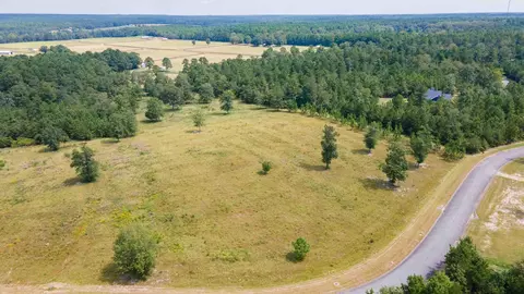 0 Cooks Pond Rd, Williston, SC 29853 photo 11