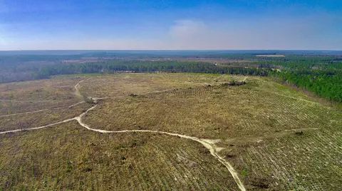 Nn Three Notch Road, Monetta, SC 29105 photo 5