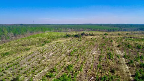 Nn Three Notch Road, Monetta, SC 29105 photo 3