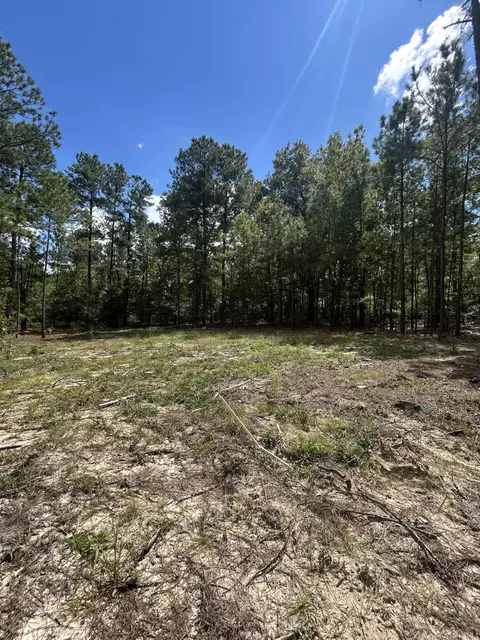 0 Autumn Ln, Trenton, SC 29847