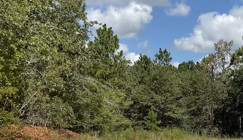 tbd Croft Mill Rd, Aiken, SC 29801