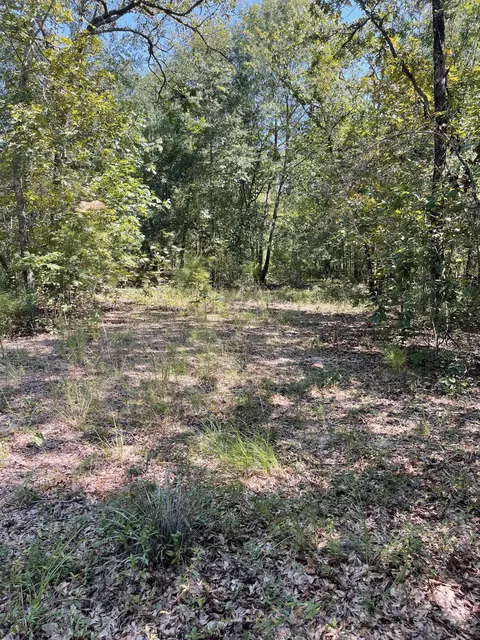525 Kasey Ln, Aiken, SC 29803