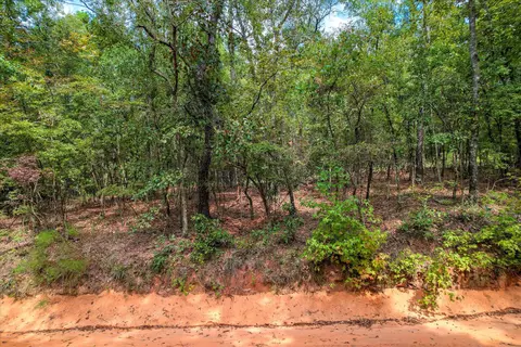 0-001 A Centerwood Rd, Williston, SC 29853 photo 17
