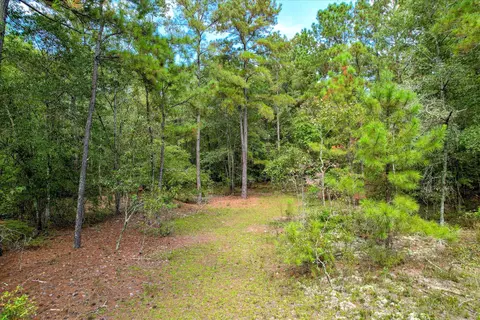0-001 A Centerwood Rd, Williston, SC 29853 photo 19