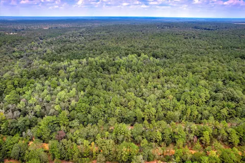 0-001 A Centerwood Rd, Williston, SC 29853 photo 9