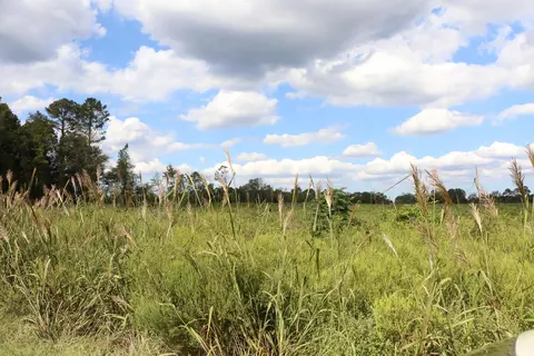 tbd John Nunn Hwy, Salley, SC 29137