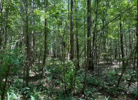 8 5a Atomic Rd, Beech Island, SC 29842 photo 2