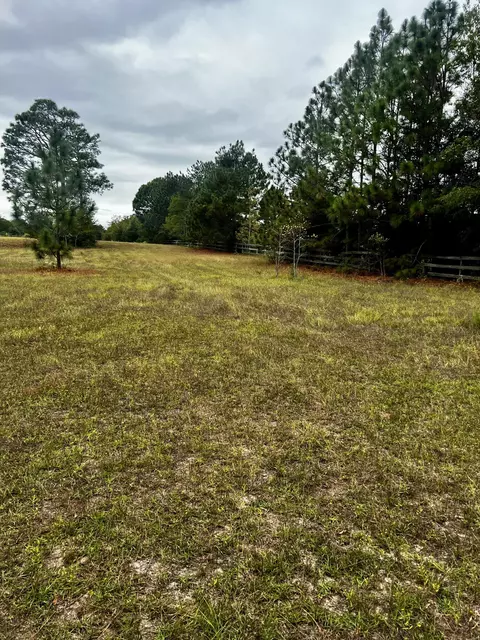 667 State Park Rd, Windsor, SC 29856 photo 4