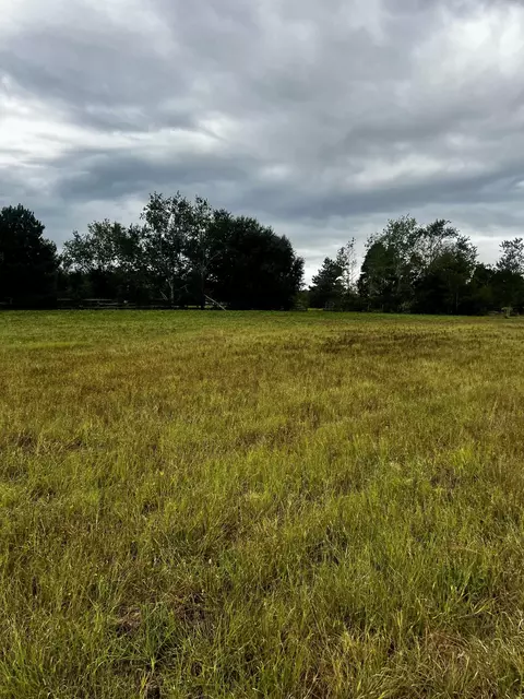 667 State Park Rd, Windsor, SC 29856 photo 5