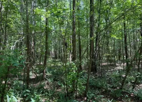 24 Atomic Rd # A, Beech Island, SC 29842