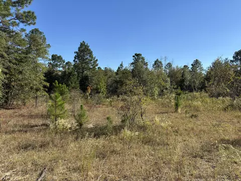 tbd Pearl Bonnett, Windsor, SC 29856