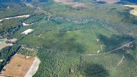 tbd Mt Beulah Rd, Windsor, SC 29856