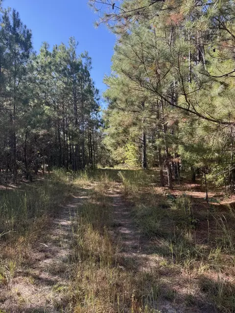 tbd Mt Beulah Rd, Windsor, SC 29856 photo 8
