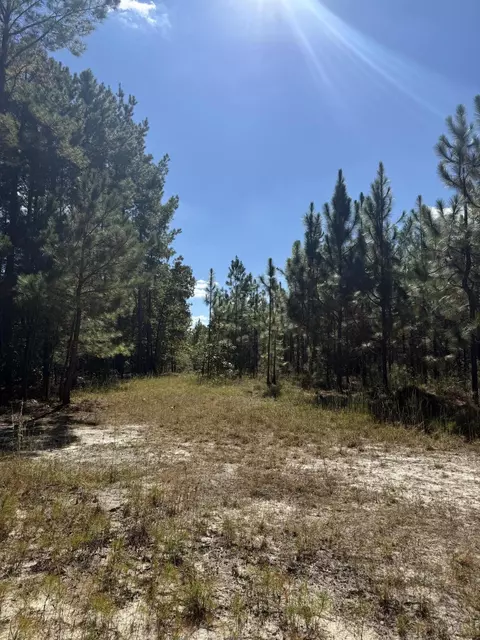 tbd Mt Beulah Rd, Windsor, SC 29856 photo 3