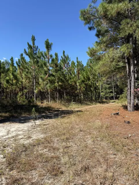 tbd Mt Beulah Rd, Windsor, SC 29856 photo 4