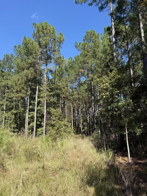 tbd Mt Beulah Rd, Windsor, SC 29856 photo 5