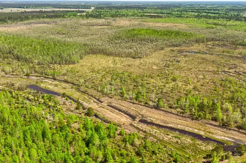 tbd Alligator Rd, Olar, SC 29843 photo 15