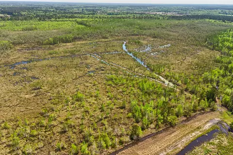 tbd Alligator Rd, Olar, SC 29843 photo 16