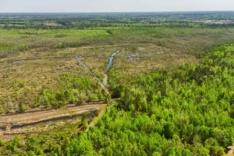 tbd Alligator Rd, Olar, SC 29843 photo 14