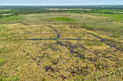 tbd Alligator Rd, Olar, SC 29843 photo 22