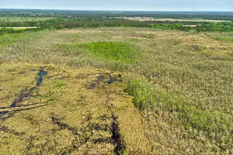 tbd Alligator Rd, Olar, SC 29843 photo 21