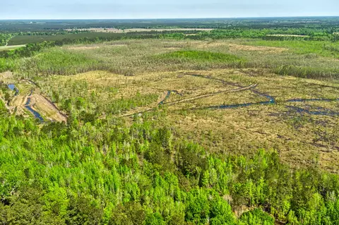 tbd Alligator Rd, Olar, SC 29843 photo 23