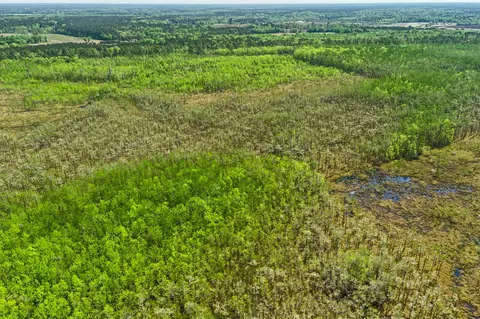 tbd Alligator Rd, Olar, SC 29843 photo 17