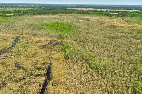 tbd Alligator Rd, Olar, SC 29843 photo 19