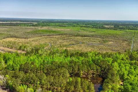 tbd Alligator Rd, Olar, SC 29843 photo 13