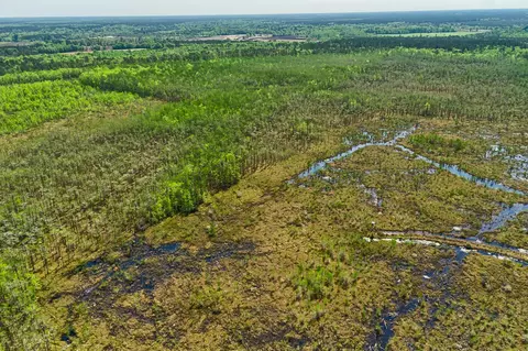 tbd Alligator Rd, Olar, SC 29843 photo 18