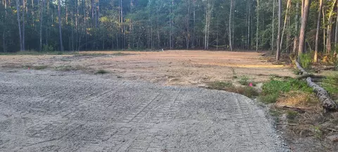 12288 Bloomville Rd, Manning, SC 29102