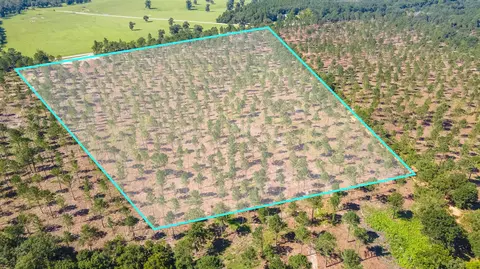 Shadow Lane / Camp Rawls Rd, Wagener, SC 29164