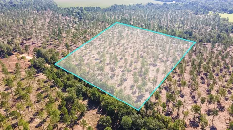 lot5 Bluffwood Rd, Wagener, SC 29164