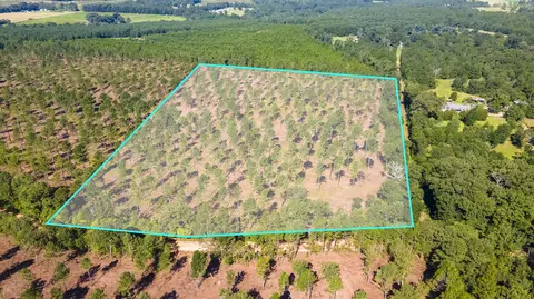 lot3 Bluffwood Rd, Wagener, SC 29164