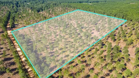 lot2 Bluffwood Rd, Wagener, SC 29164
