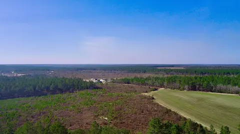 0 Three Notch Rd, Monetta, SC 29105 photo 5