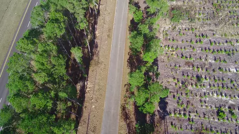 0 Three Notch Rd, Monetta, SC 29105 photo 6