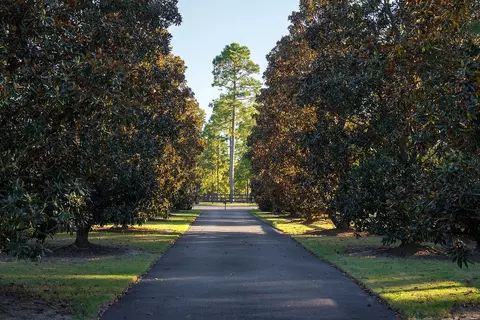 Other - 1029 Shell Bluff Dr, Aiken, SC 29803 photo 31 of 31
